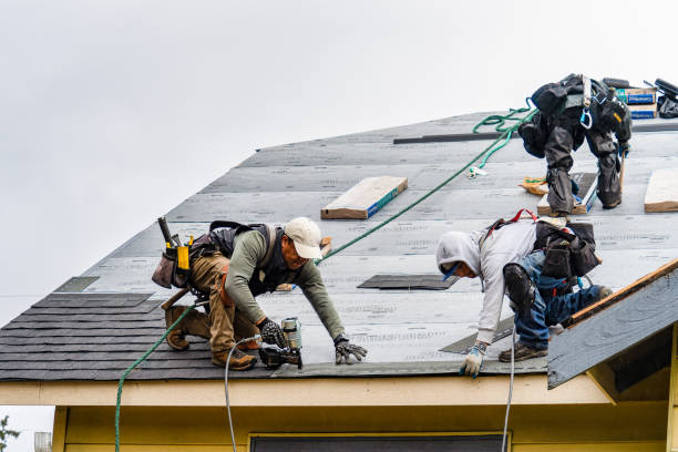Professional Gutter Installation technician working in Port Richey, FL